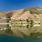 Am Douro