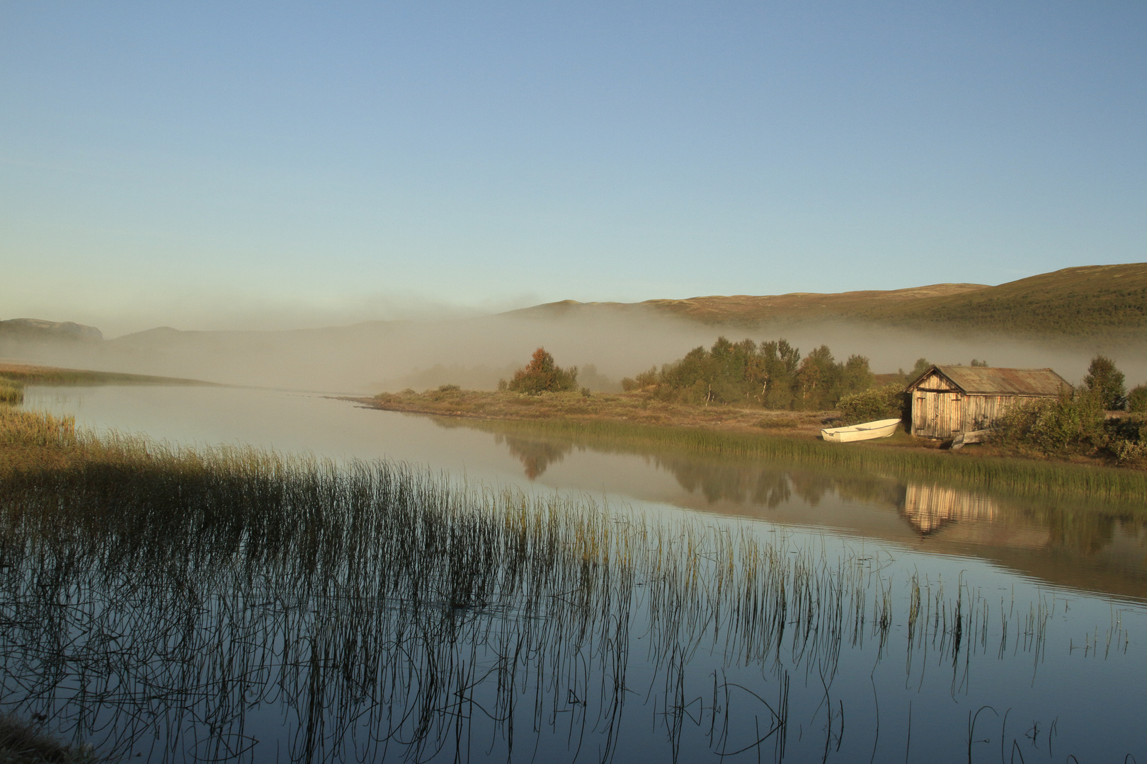 Am Dovrefjell