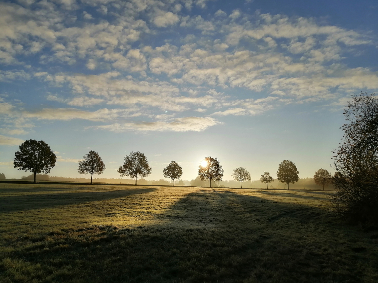 Am Dreifelder Weiher