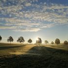 Am Dreifelder Weiher