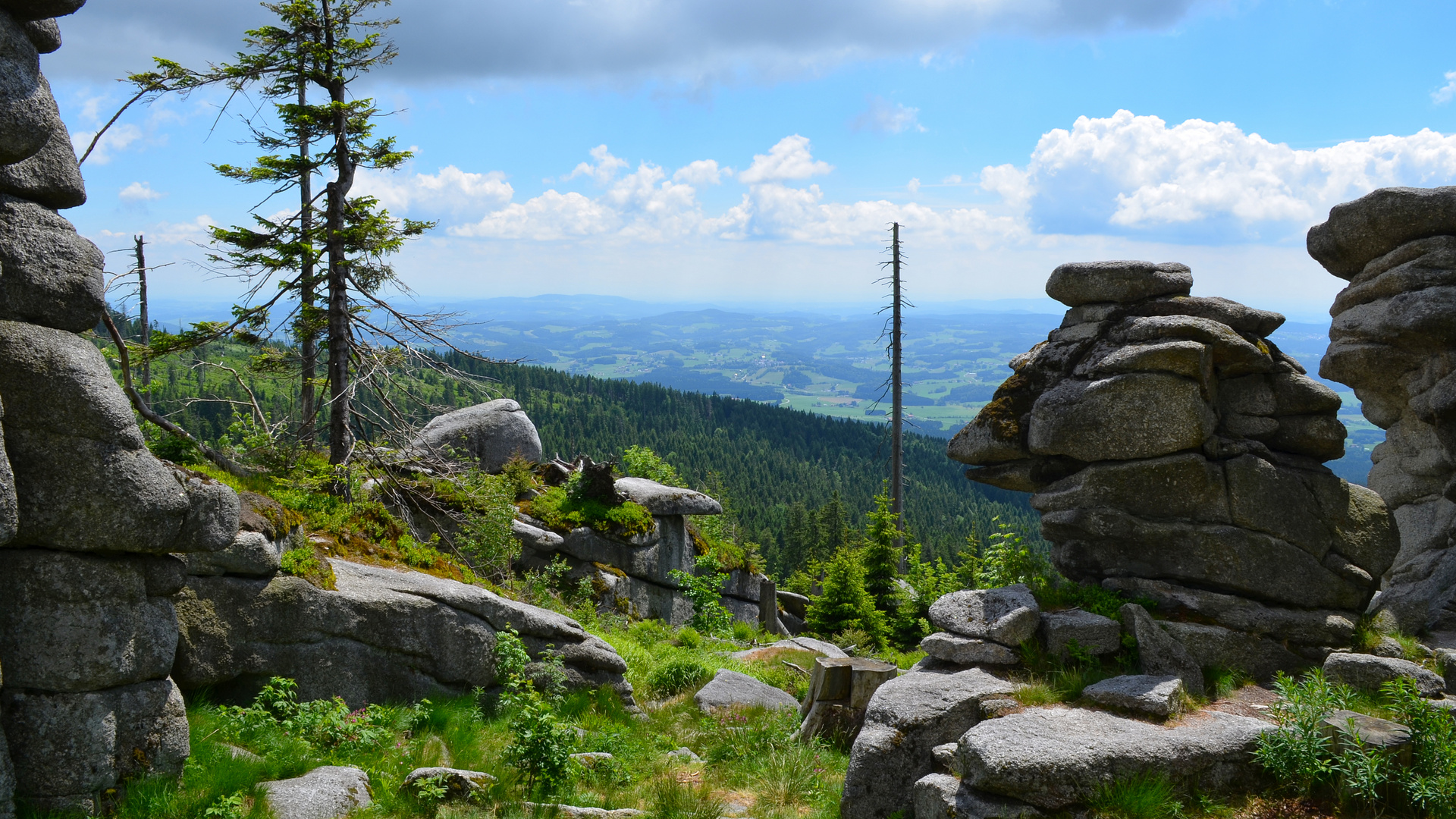 Am Dreisessel im Bayerischen Wald