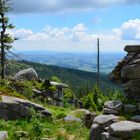 Am Dreisessel im Bayerischen Wald