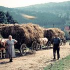 Am Dreschplatz ca. 1954 - Bauern in Warteposition