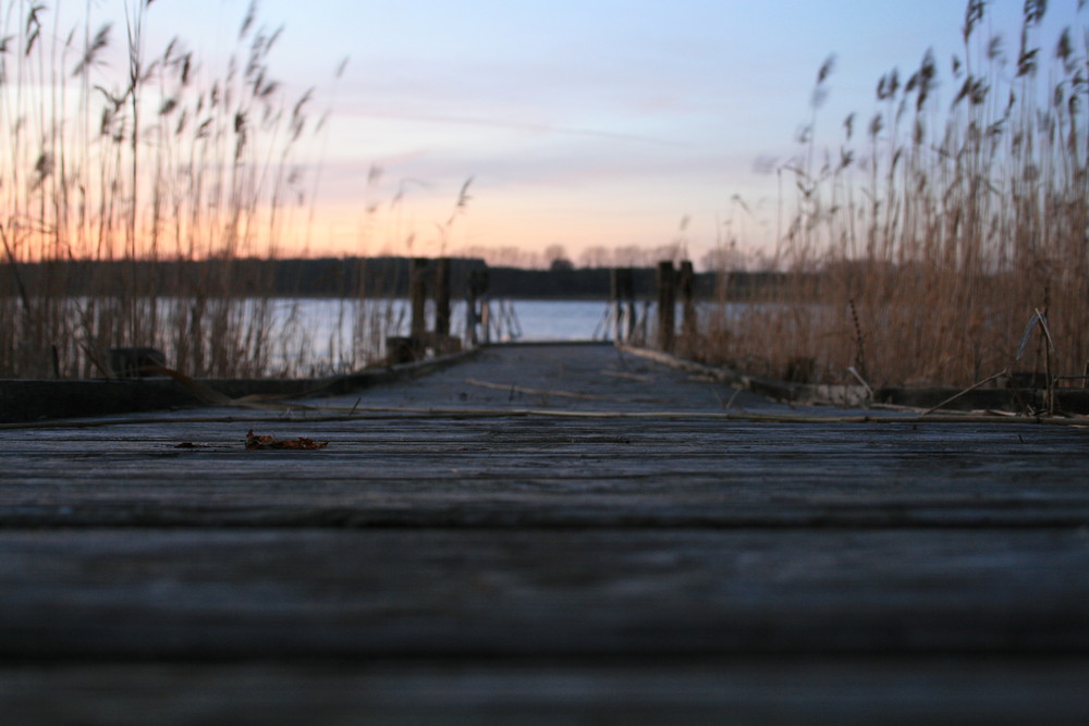 Am Drewitzer See