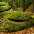 am "Druidenweg" im mystischen Waldviertel