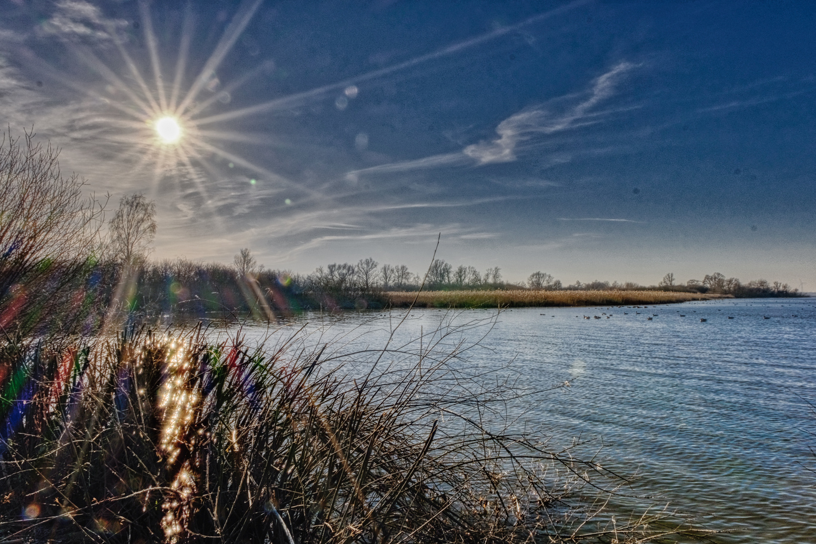 am Dümmer See