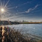 am Dümmer See