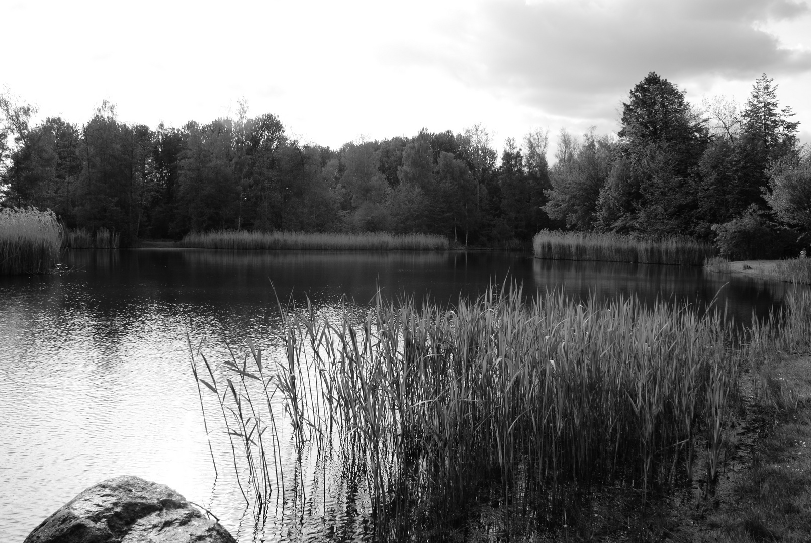 Am düsteren See