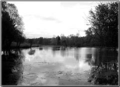 Am düsteren Teich, wo der Erlkönig wohnt