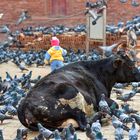 Am Durbar Square 09