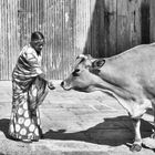 Am Durbar Square 17