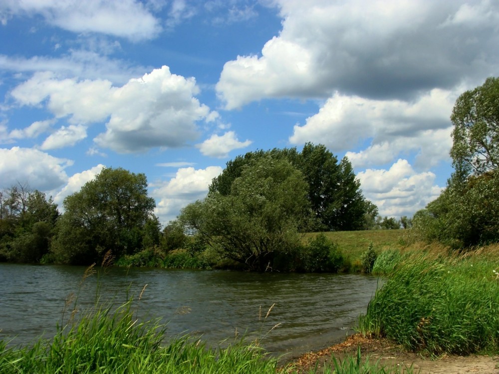 Am Dutenenhofener See (Giessen)