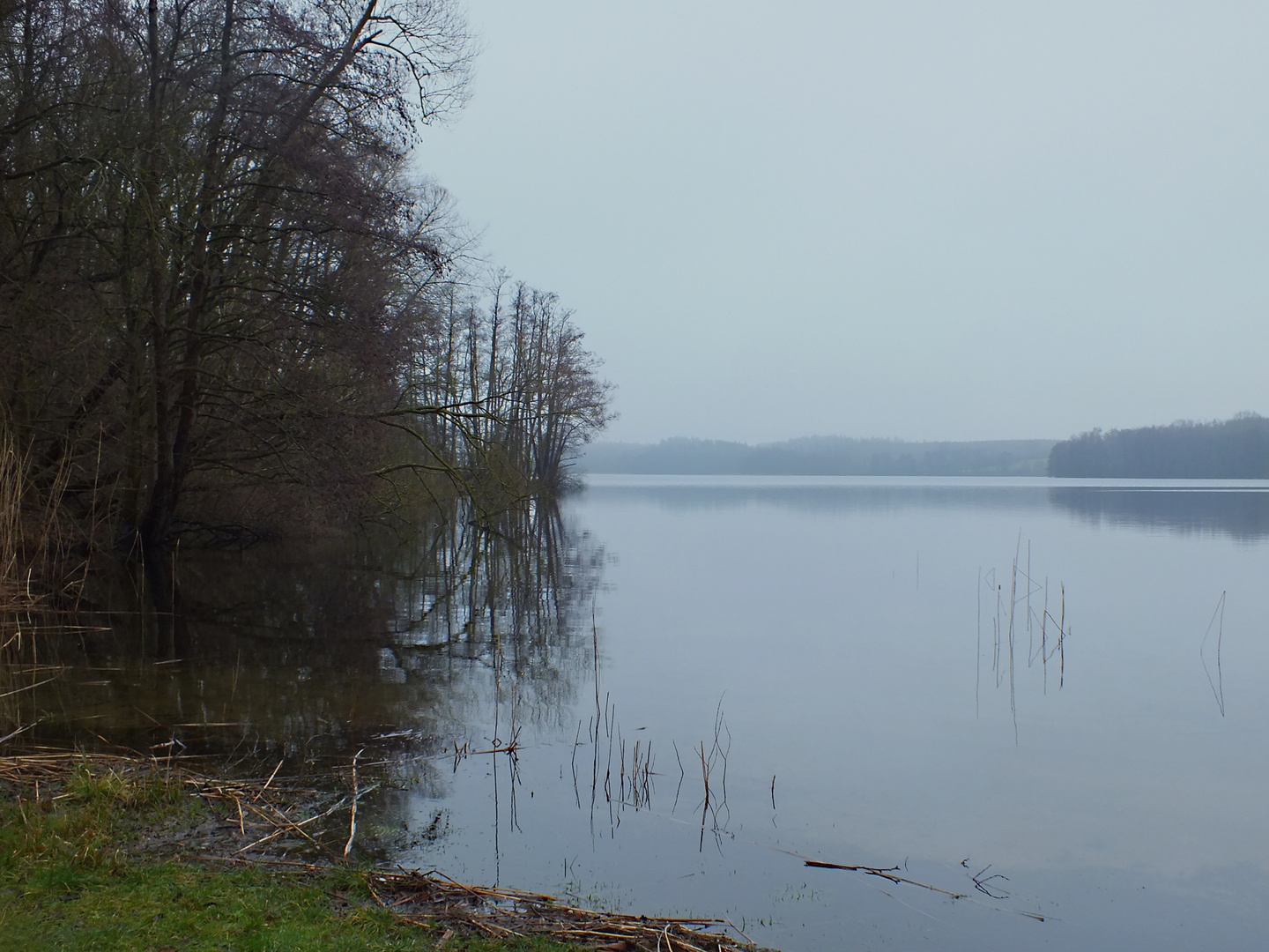 Am Dutzower See