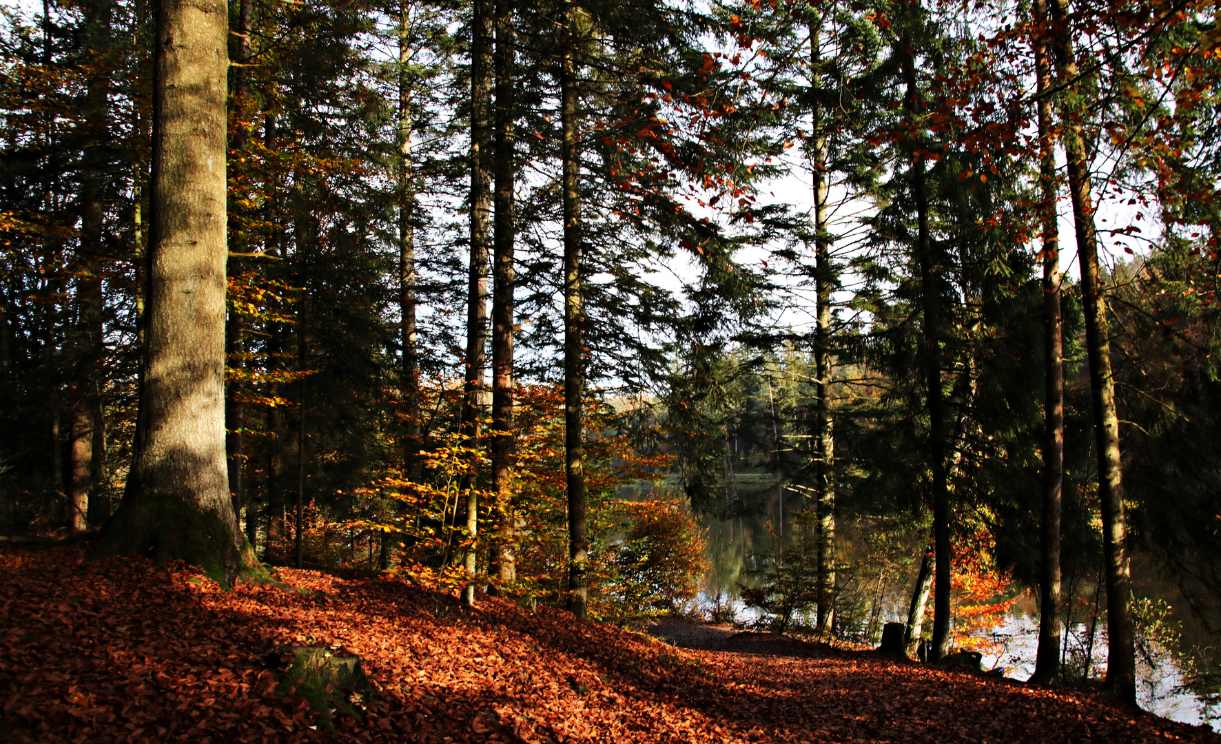 Am Ebnisee