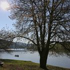 Am Edersee auf dem Weg nach Herzhausen (2019_04_16_EOS 100D_4453_ji)