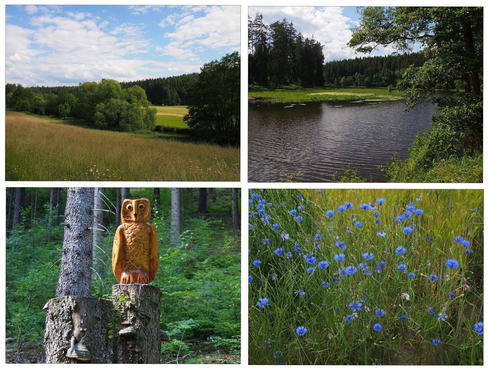 Am Eger-Wanderweg