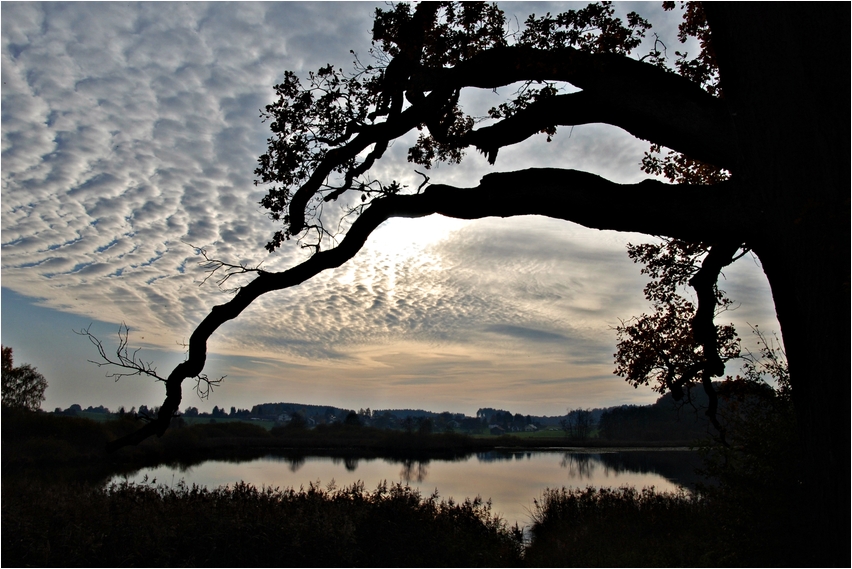 am Egglsee