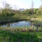 am ehemaligen Freibad von Sollstedt