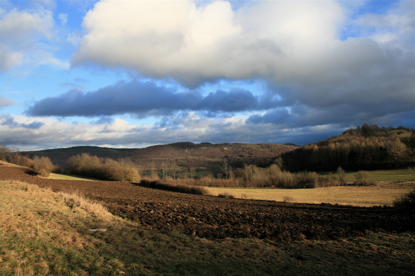 Am Ehrenbürg