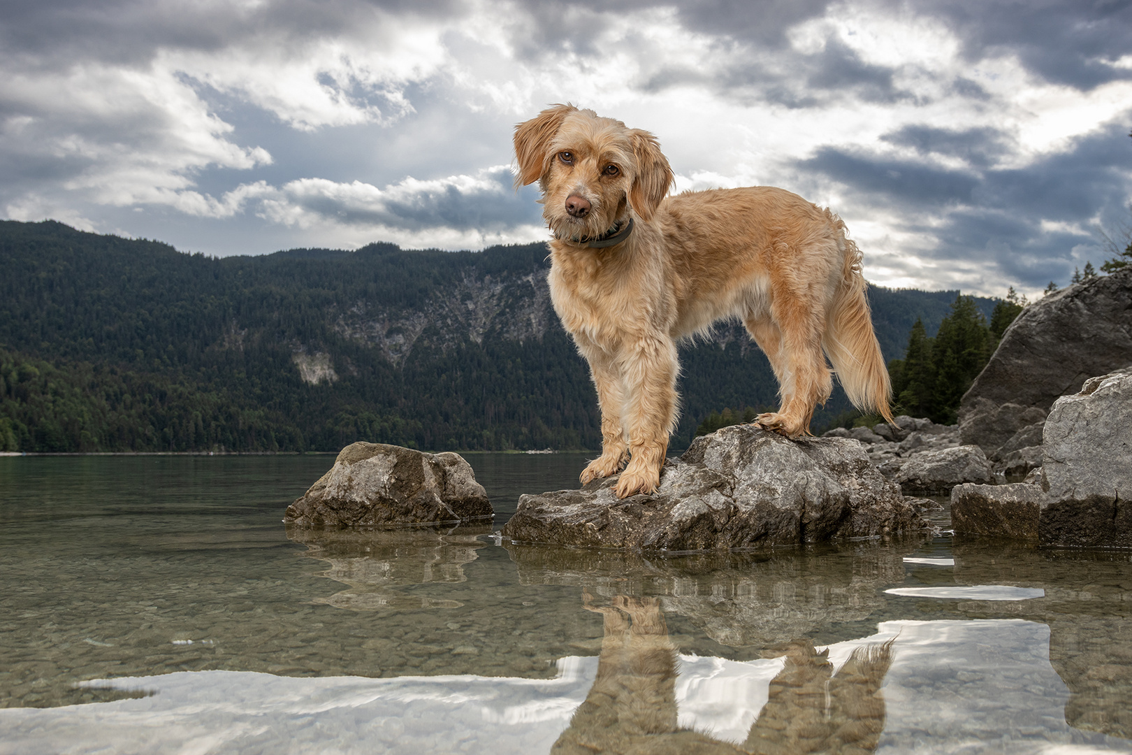 Am Eibsee