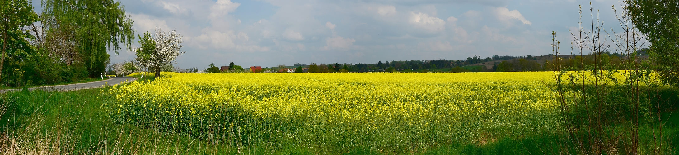 Am Eichbusch