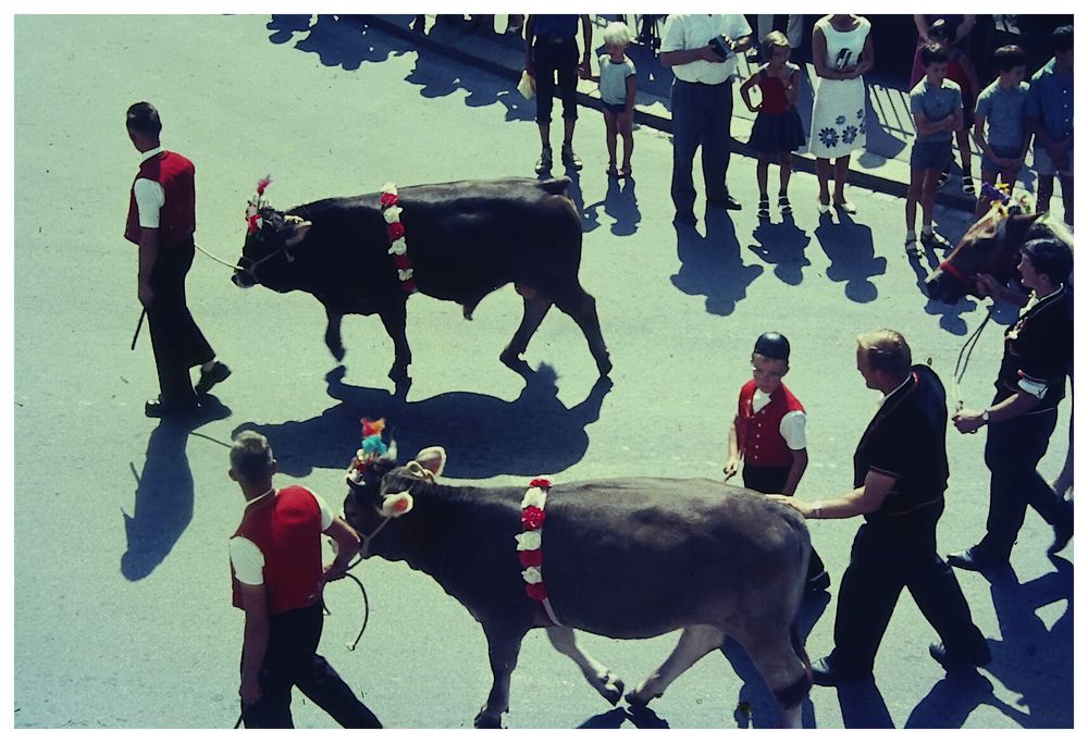 Am Eidgenössischen Schwing- und Älplerfest Frauenfeld 1966, I