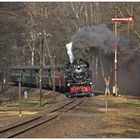 Am Einfahrsignal hinter Bertsdorf