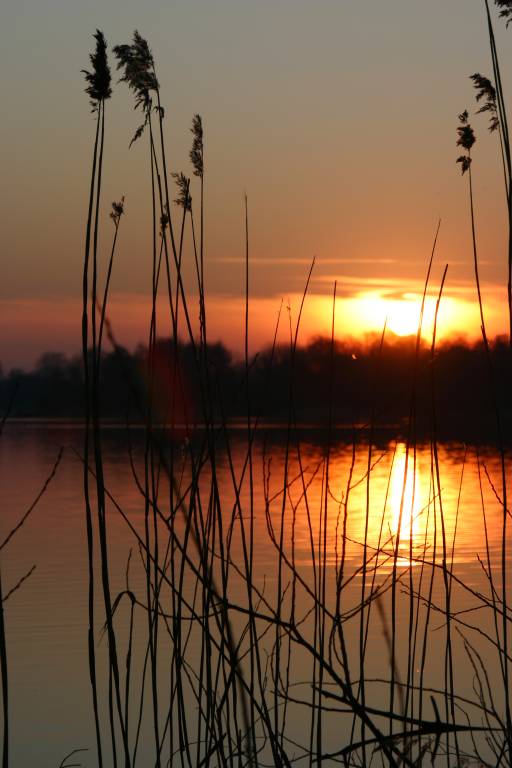 Am Einfelder See...