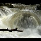 Am Eingang der Bärenschützklamm