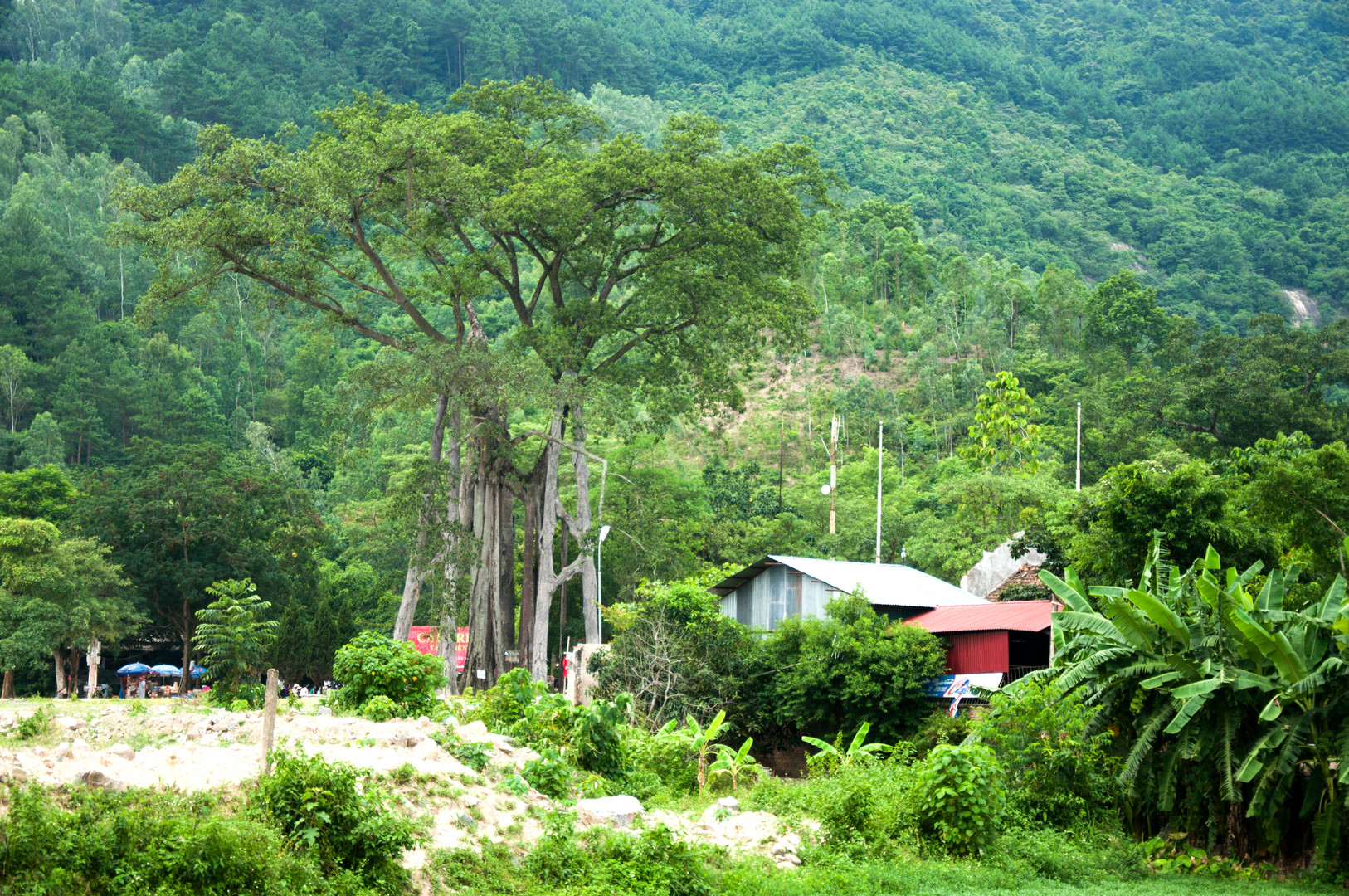 Am Eingang zu Taythien-Pagode in Tamdao, Nordvietnam