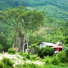 Am Eingang zu Taythien-Pagode in Tamdao, Nordvietnam