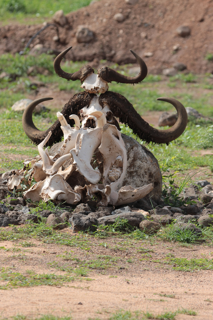 Am Eingang zum Nationalpark Amboseli in Kenia