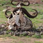 Am Eingang zum Nationalpark Amboseli in Kenia