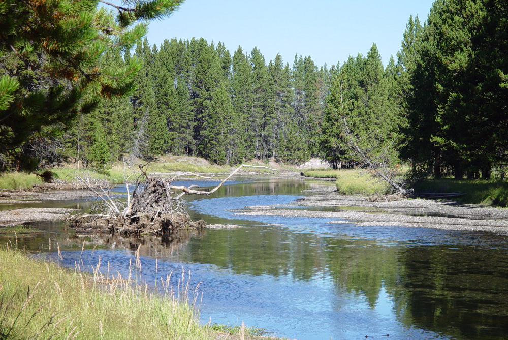 Am Eingang zum Yellowstone Park