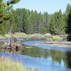 Am Eingang zum Yellowstone Park