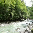 Am Eingang zur Breitachklamm