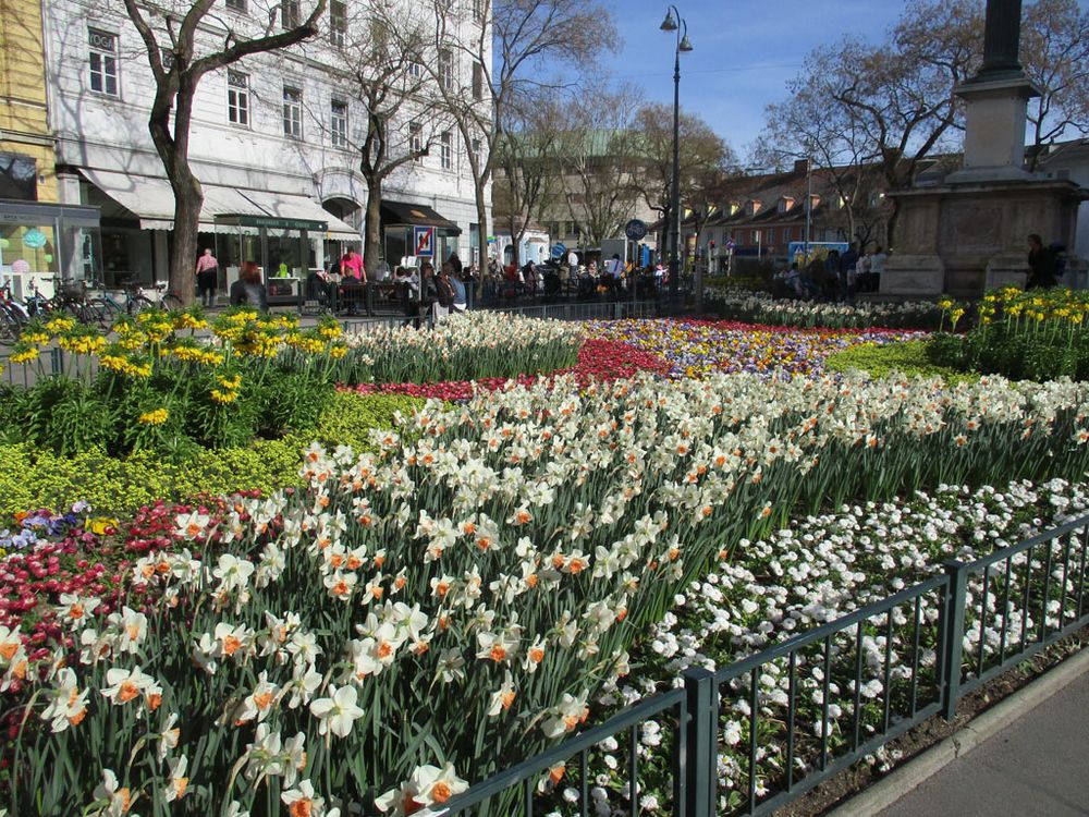 Am eisernen Tor , Graz Foto & Bild | pflanzen, samen, blumen, stadt ...