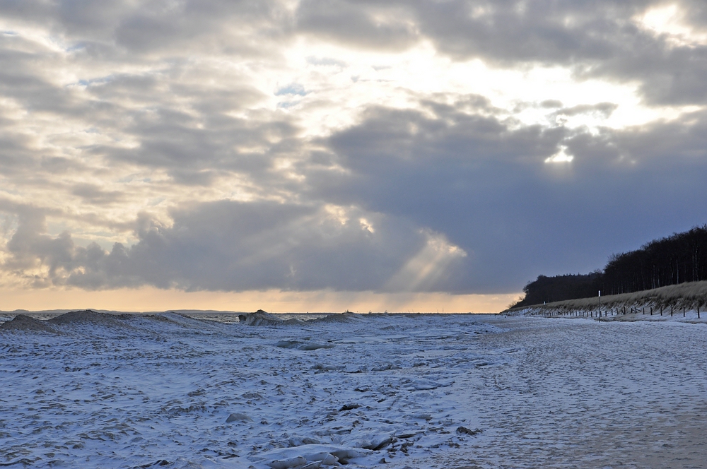 Am eisigen Strand