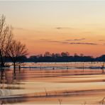 Am Eismeer