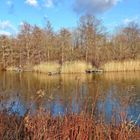 am Eisweiher