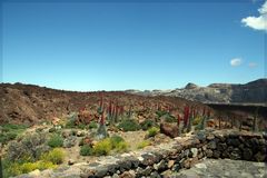 am El Teide_2