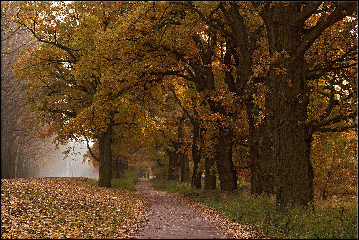 am Elbdeich Foto & Bild jahreszeiten, herbst, landschaft Bilder auf