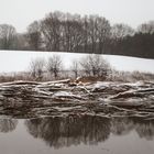 Am Elbe-Lübeck-Kanal