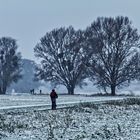 Am Elberadweg