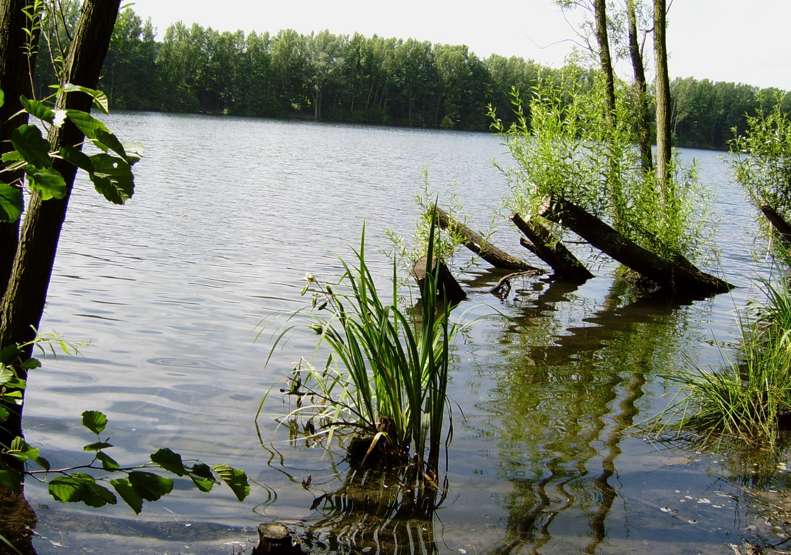 Am Elbsee - in der Nähe von Düsseldorf (Archiv) - Spielgeltag