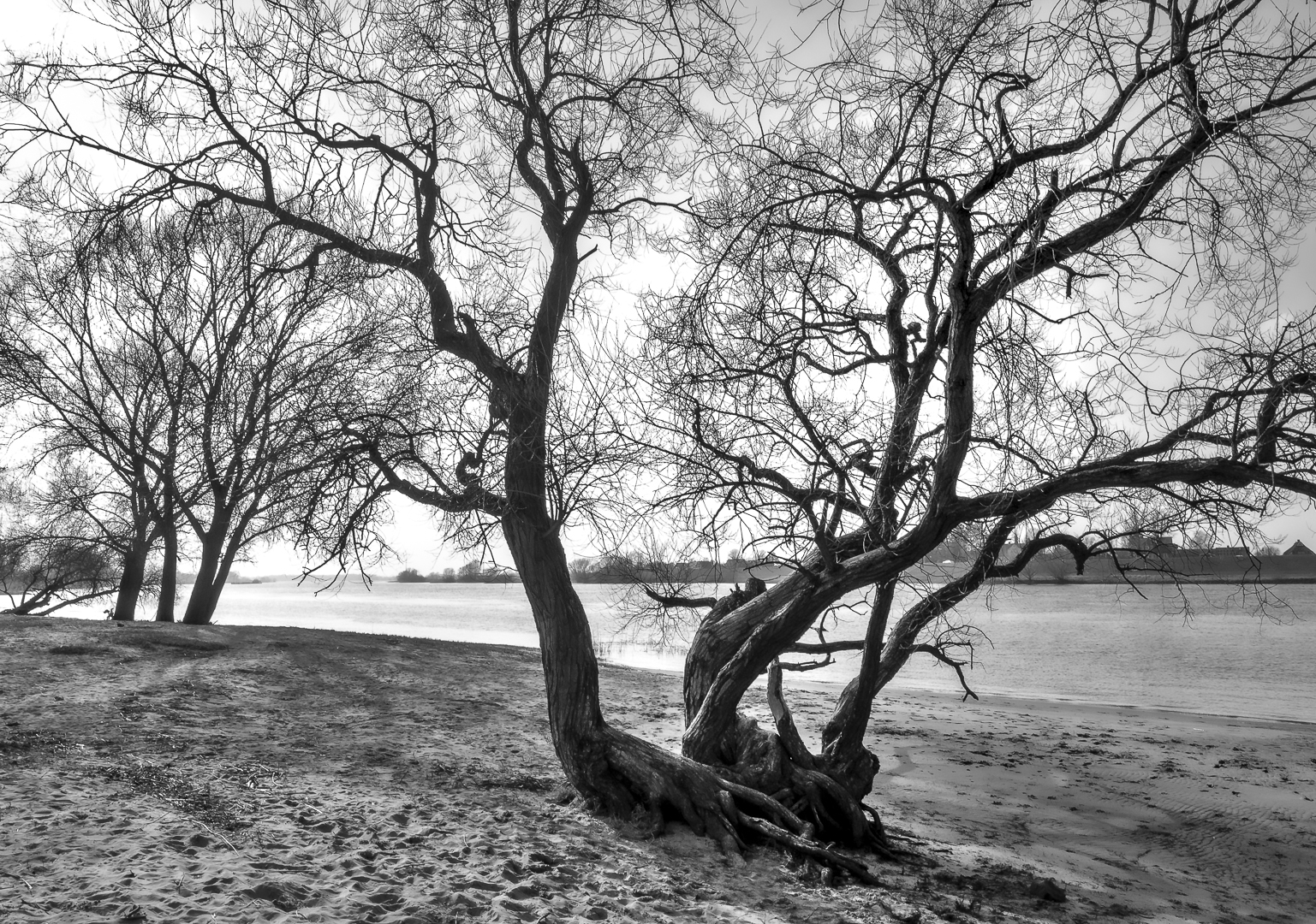 Am Elbstrand