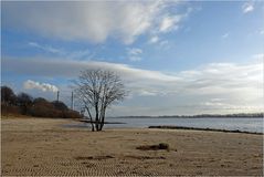 Am Elbstrand