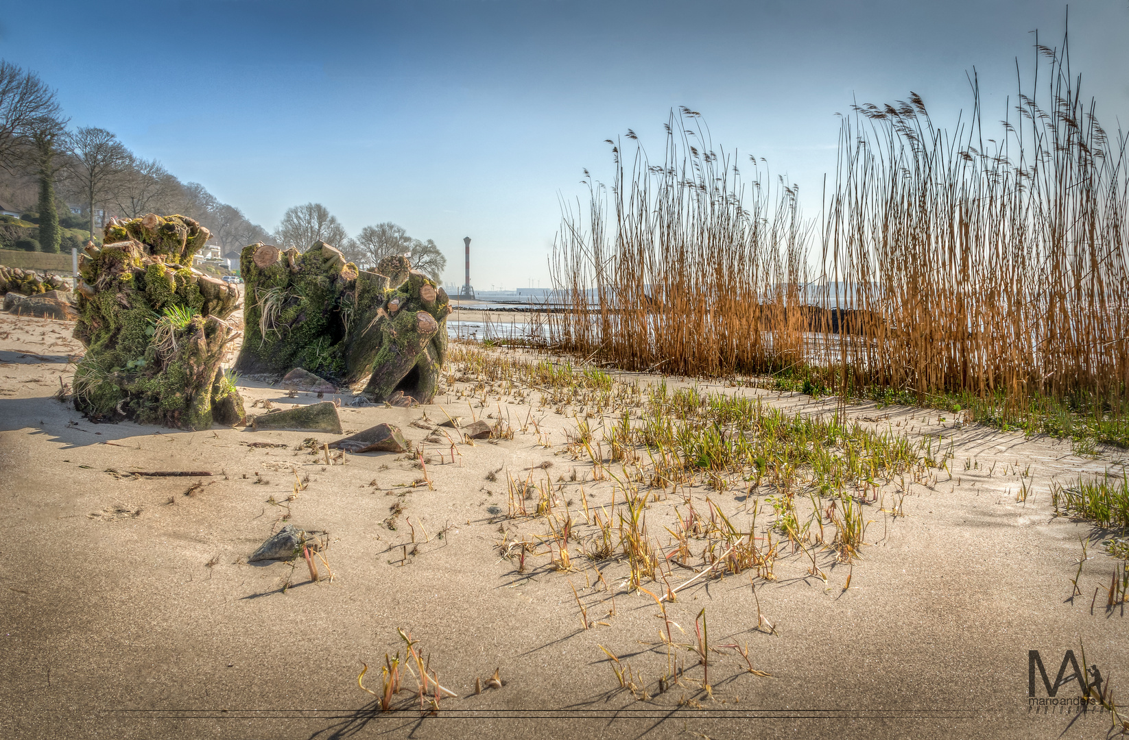 am Elbstrand beim Falkensteiner Ufer HH