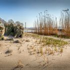 am Elbstrand beim Falkensteiner Ufer HH