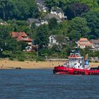 am Elbstrand - davor der Schlepper ZP Condon